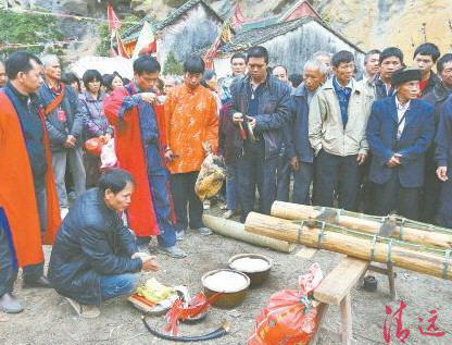 豎起刀桿之前,用活雞鴨來祭祀祈求平安。