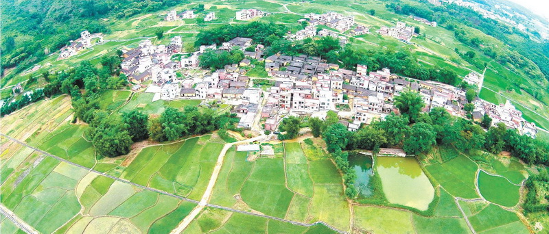 陽(yáng)山縣太平鎮(zhèn)白花村中心小組,村中整合前的土地分布零散,由原來(lái)的78塊田整合成33塊田。