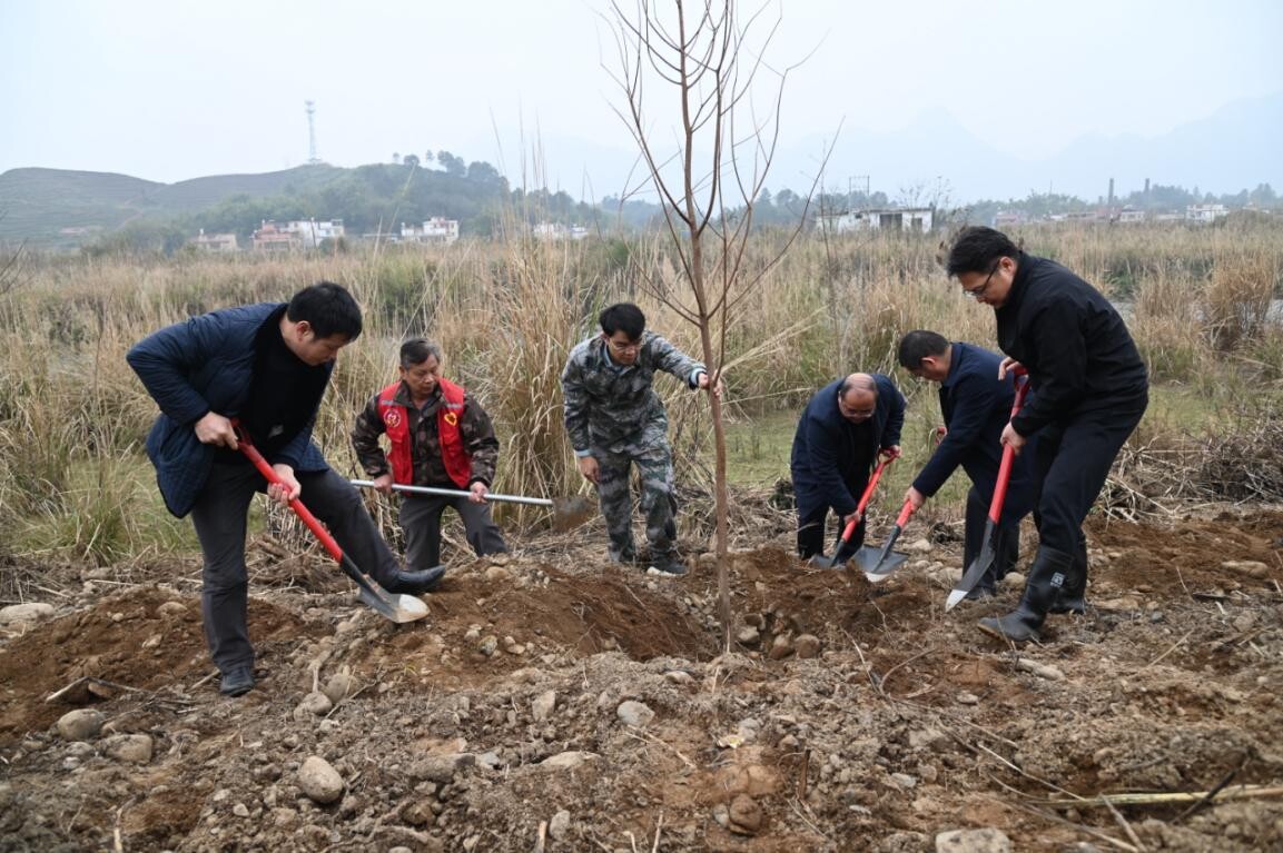 兵“林”城下 退役軍人走在綠美清遠(yuǎn)生態(tài)建設(shè)“第一方陣”，萬株新苗筑牢粵北生態(tài)屏障