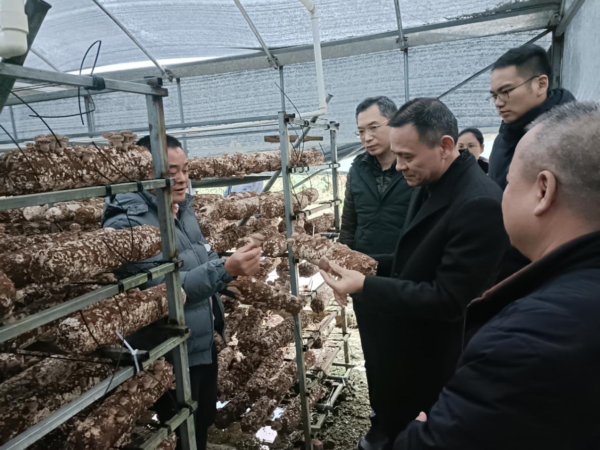 廣州市花都區(qū)退役軍人事務局到清遠市連南開展退役軍人服務新型幫扶協(xié)作交流.doc_2