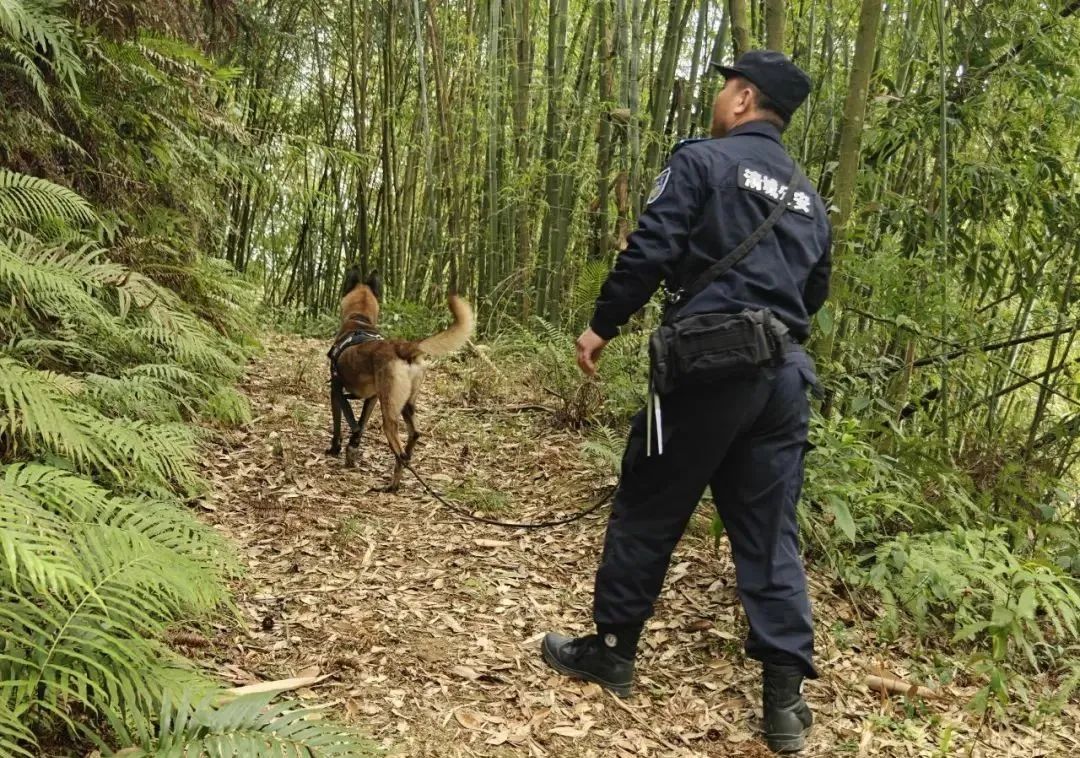“狼牙”“黑鷹”，加雞腿！